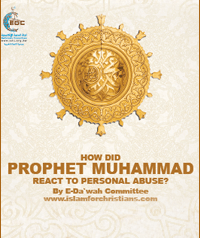How Did Muhammad React to Personal Abuse? (E-Book)
